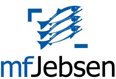 MF Jebsen